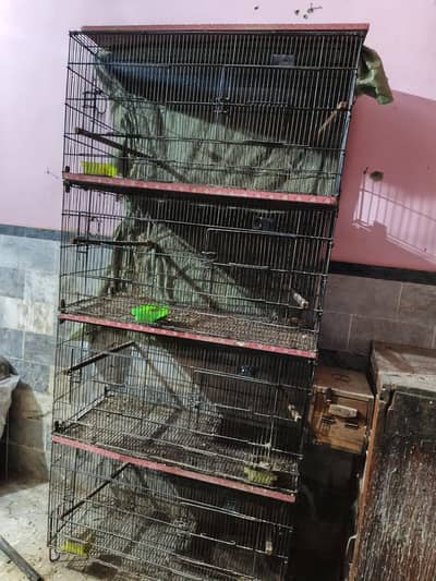 bird cages for sale
