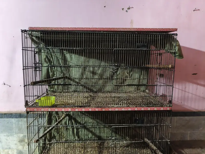 bird cages for sale — photo 2