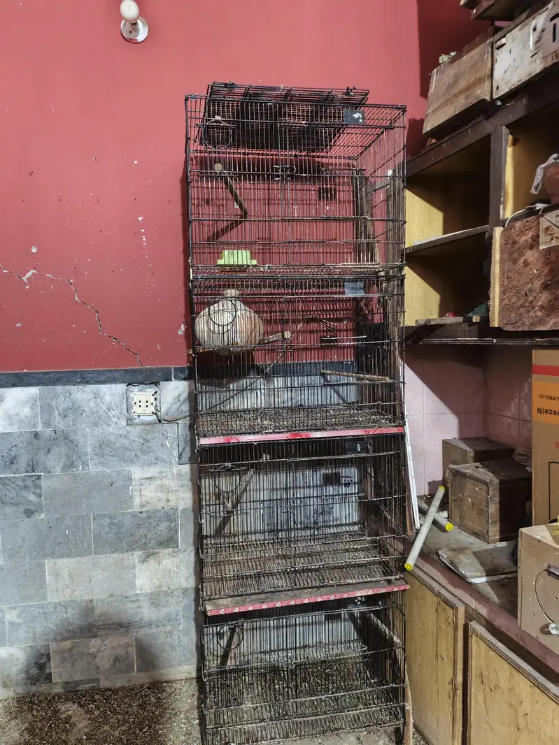 bird cages for sale — photo 3