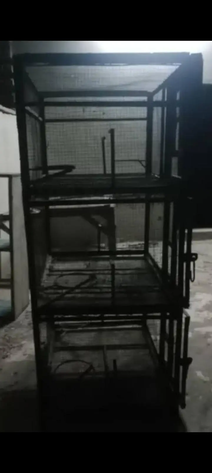 cages in parit — photo 2