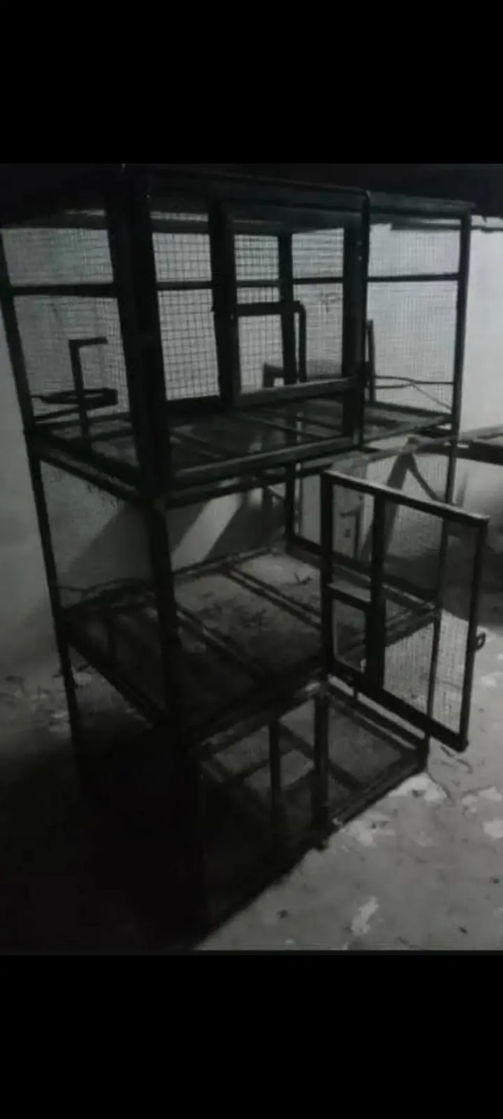 cages in parit — photo 3