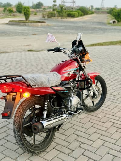 Yamaha YBZ DX 2023 brand New condition