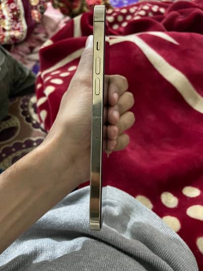 Apple iPhone 12 Pro Max