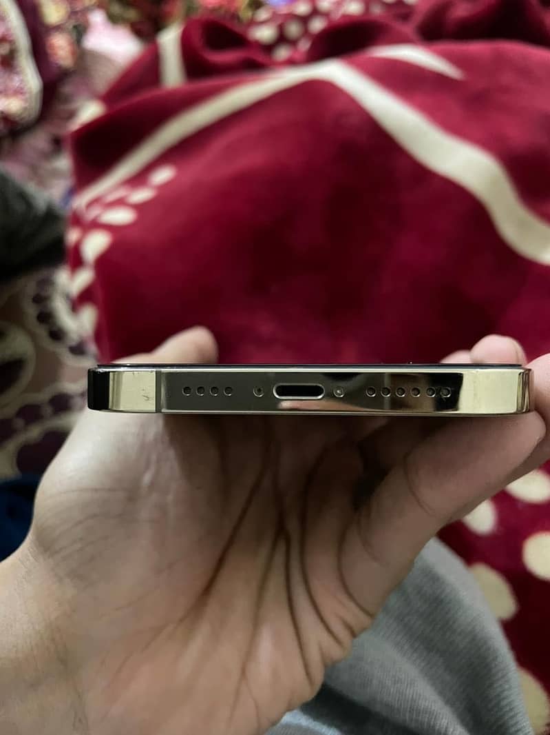 Apple iPhone 12 Pro Max 1
