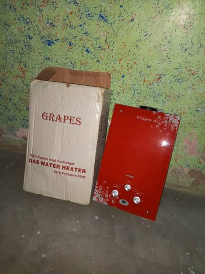 grapes gas water heater