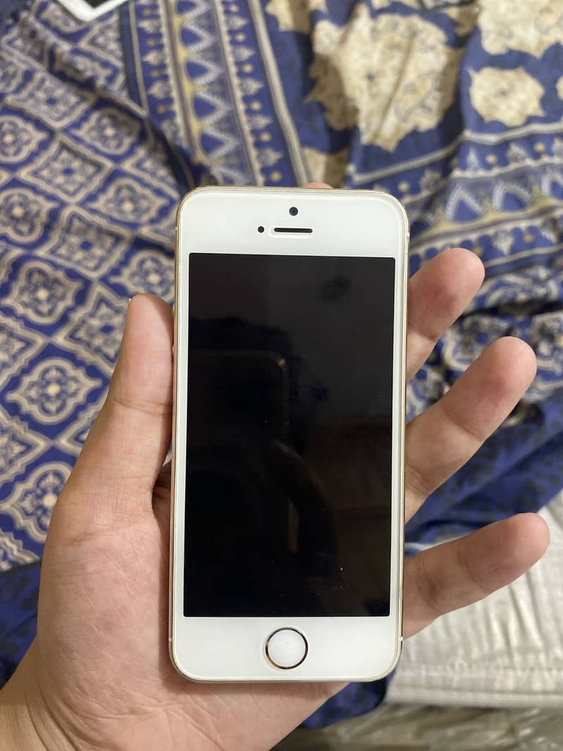 Apple iPhone 5s 1