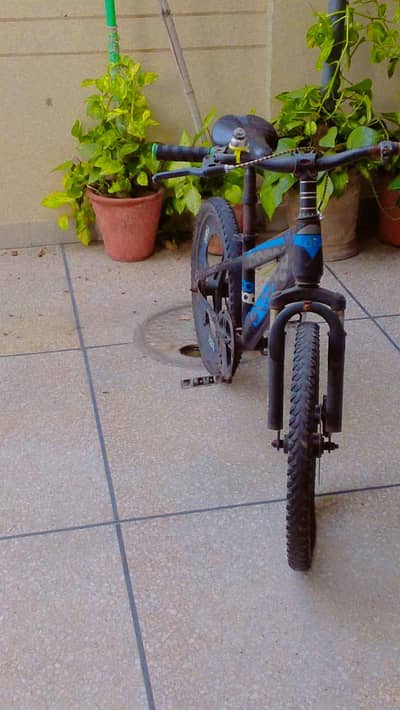cycle for sale