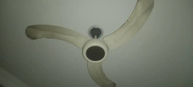 fan new condition all okay