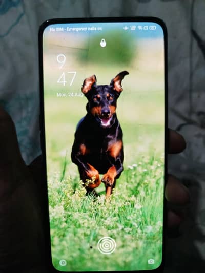 oppo reno f2