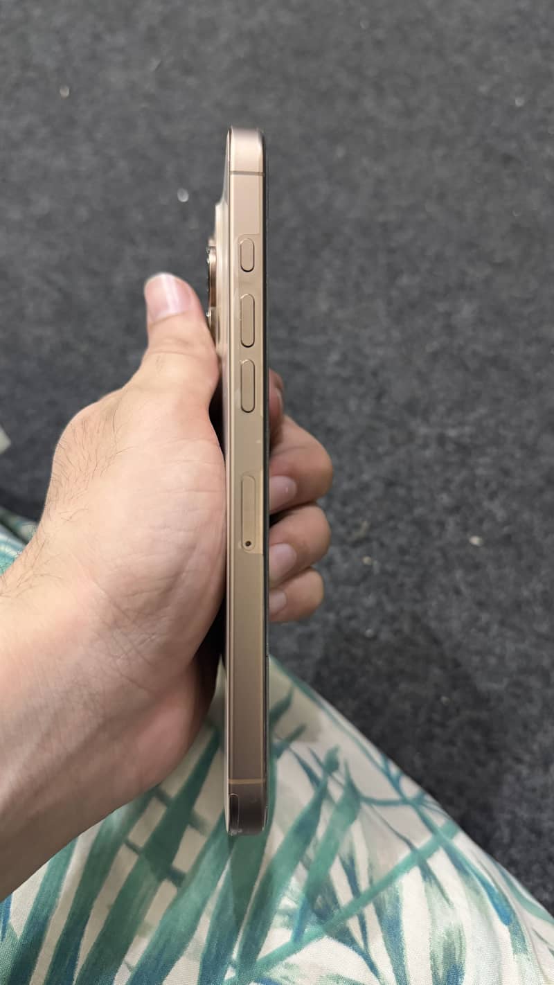Apple iPhone 16 Pro Max 2