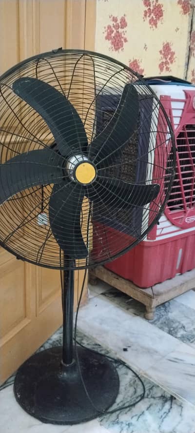 stand fan zabardast qlty fan Olympic company