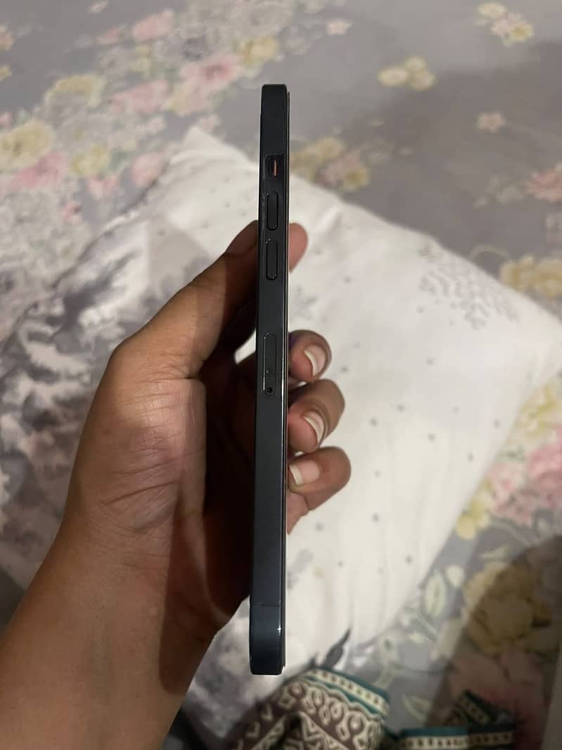 iphone 12 pro max 4