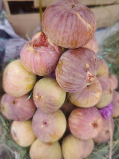 Fresh Sweety Figs