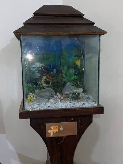 Fish Aquarium