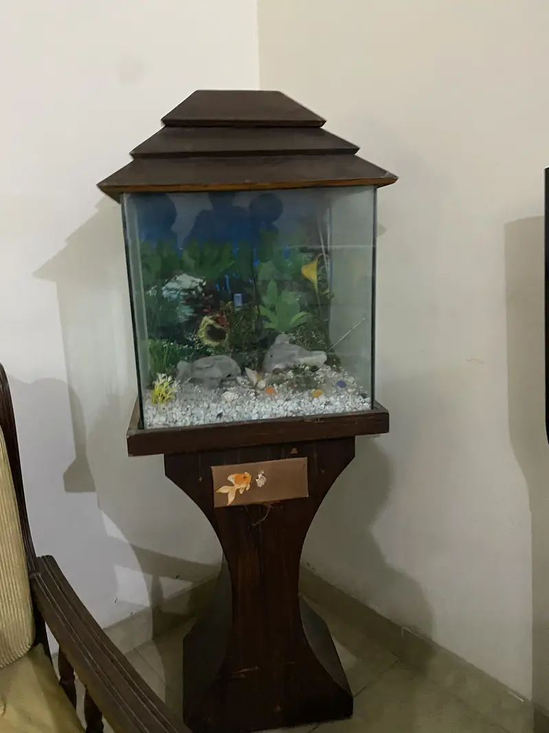 Fish Aquarium — photo 2