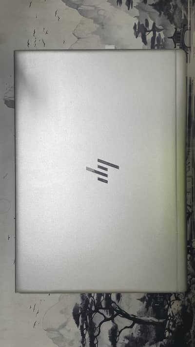 HP Elitebook 745 G6 | clean condition