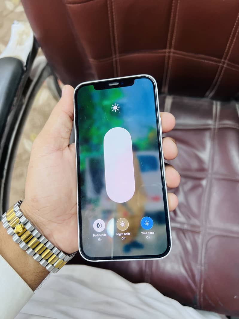 Apple iPhone 12 1