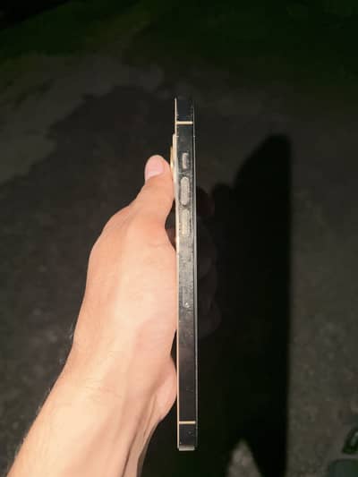 Apple iPhone 12 Pro Max