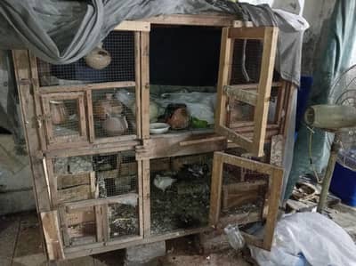 birds wood cage