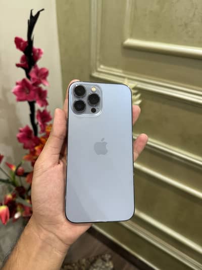 iPhone 13 Pro Max