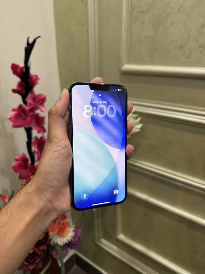 iPhone 13 Pro Max 1