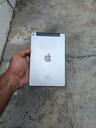 Ipad mini 4 (128 GB)