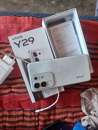 vivoy29 2
