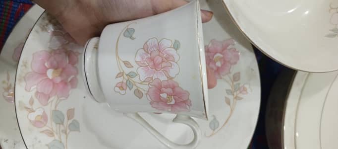 Dinner set