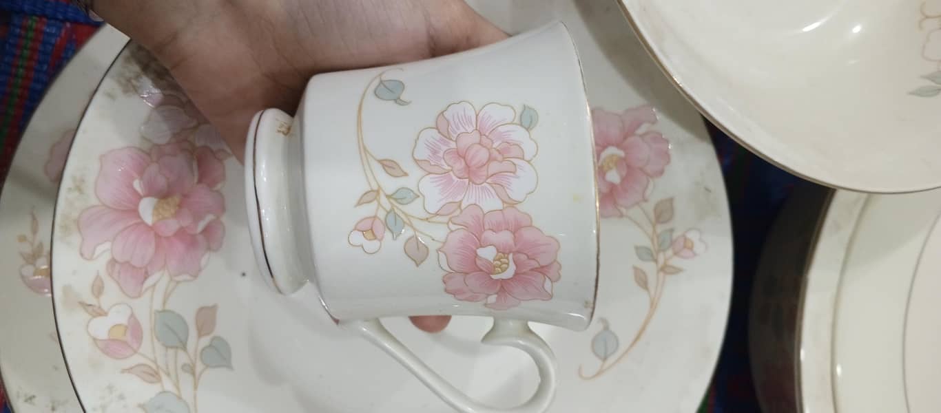 Dinner set 1