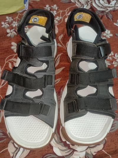 Caterpillar Sandal for caterpillar lovers