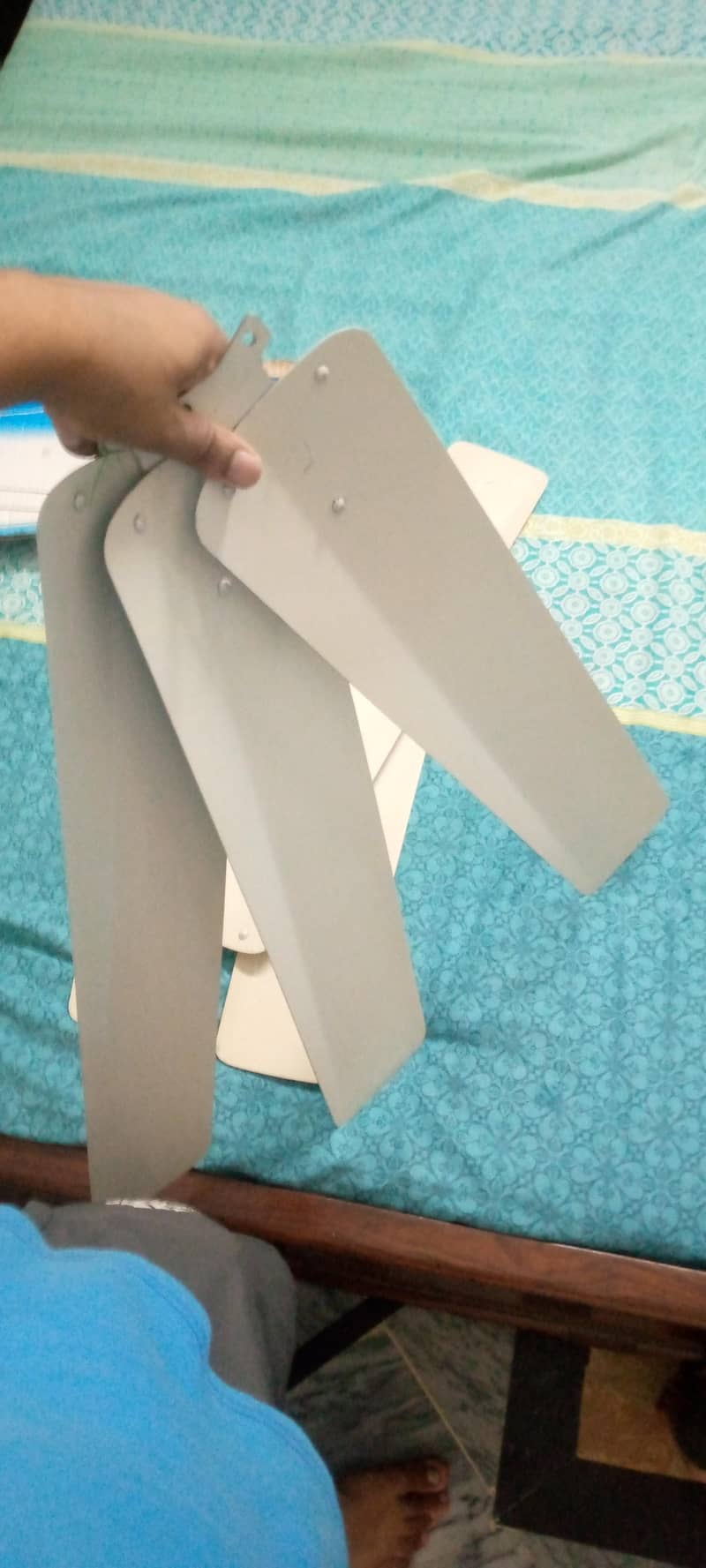 fan  wing 2