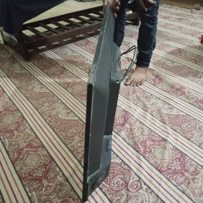 TCL LED 3