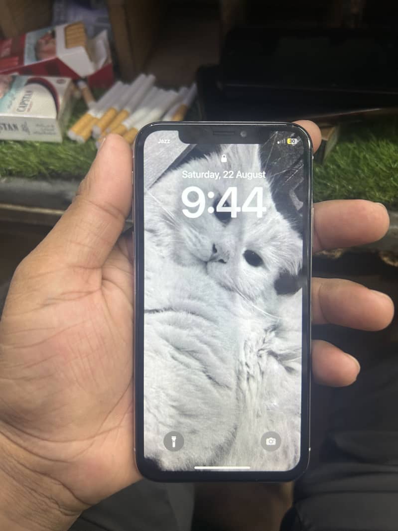 Apple iPhone X 1