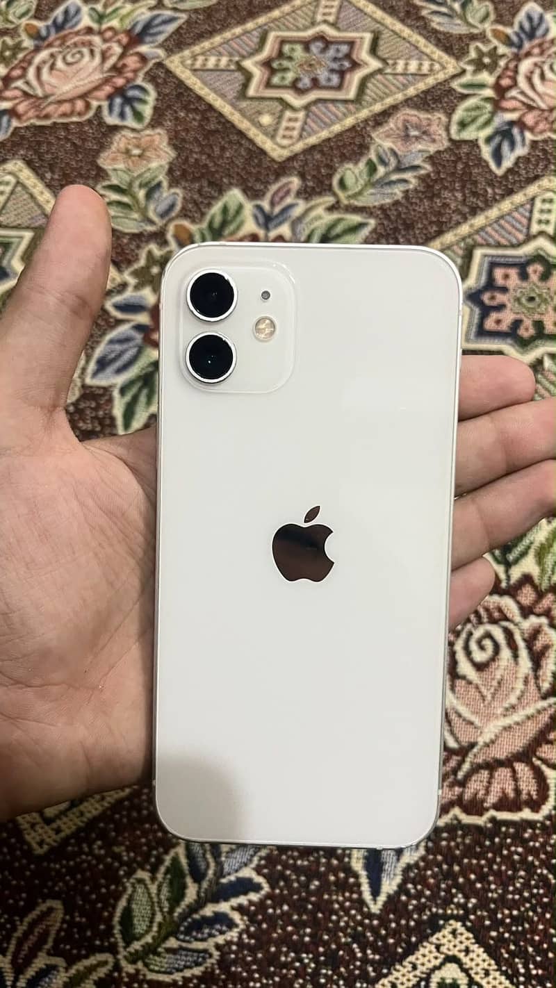 Apple iPhone 12 1