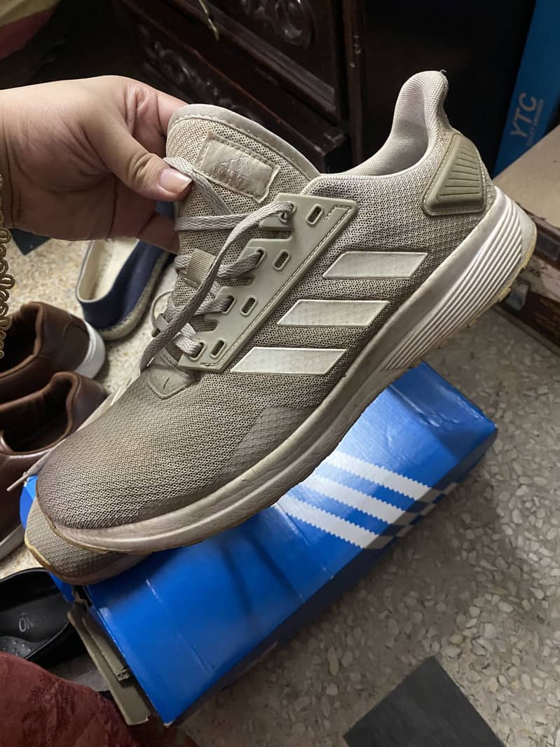 Shoes 5