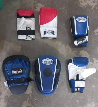imported professional boxing gloves