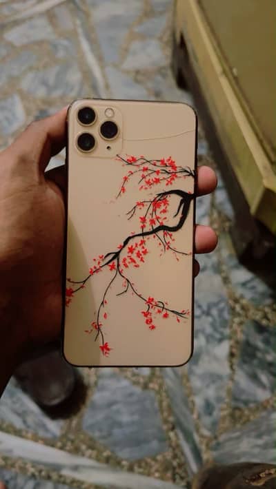 iPhone 11 Pro Max pta approve 64gb dual sim
