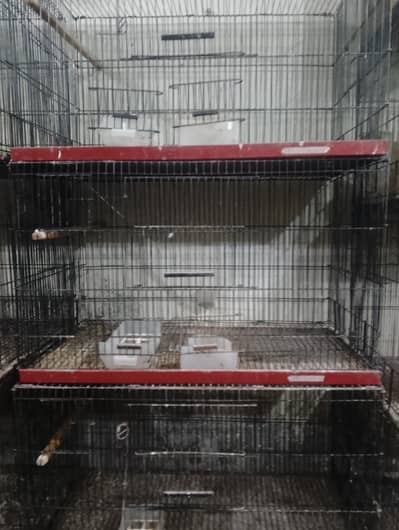 Cage Penjra All size