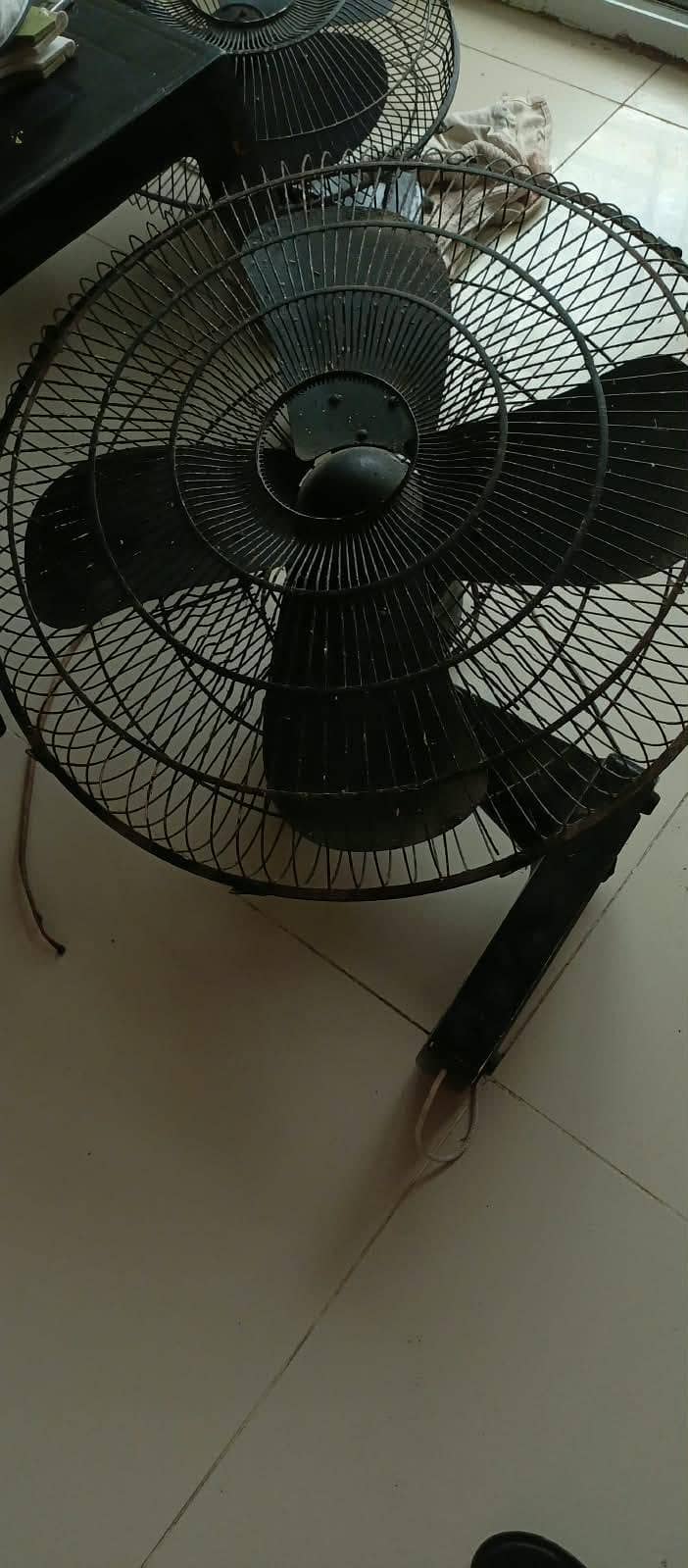 Fans Mottors Establizer 1