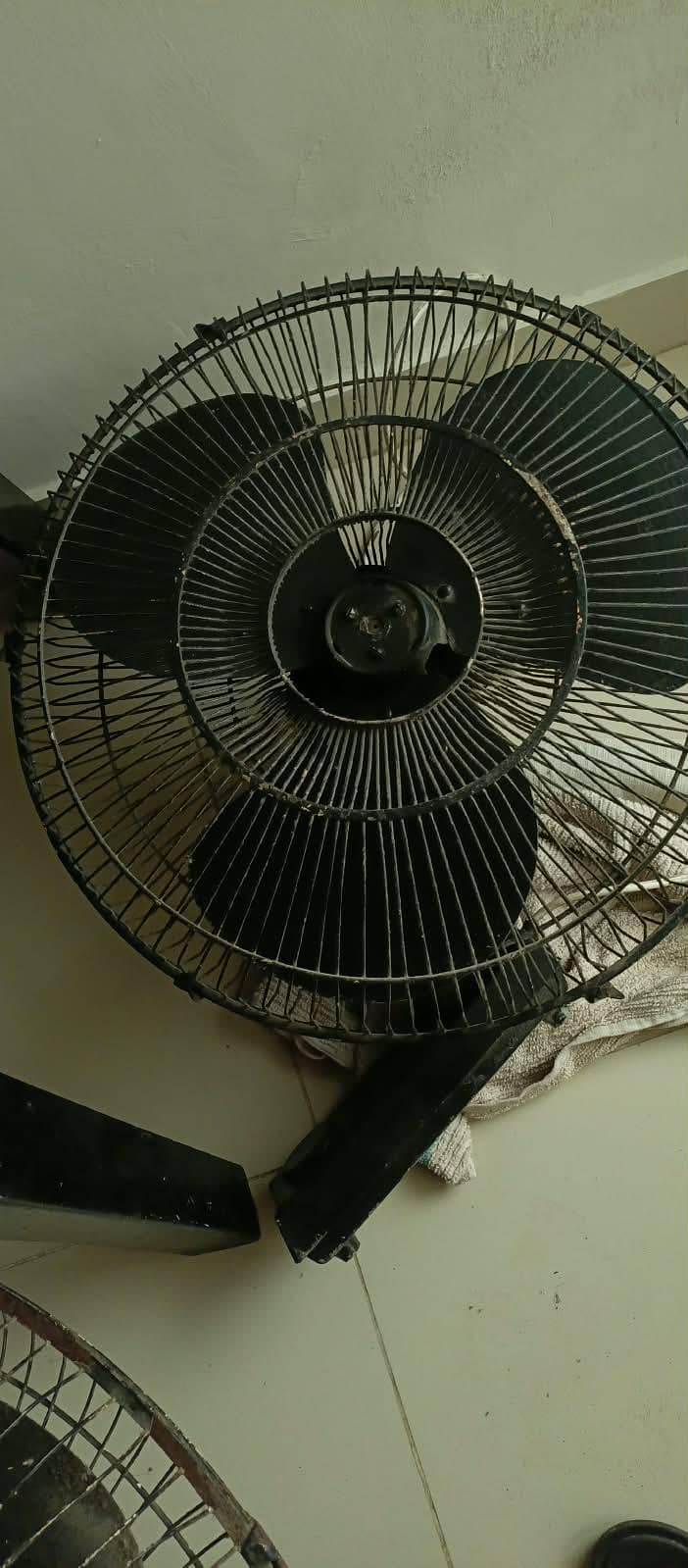 Fans Mottors Establizer 2