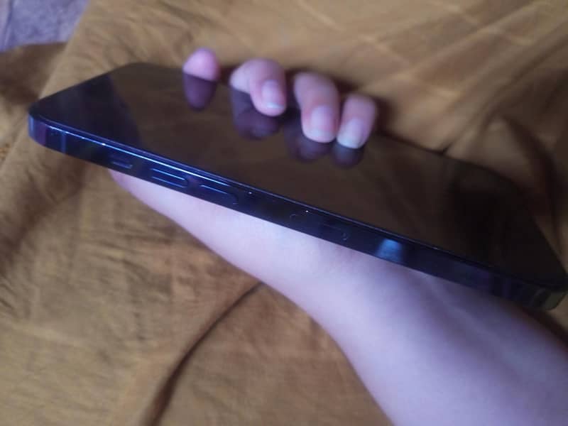 Apple iPhone 12 Pro Max 2