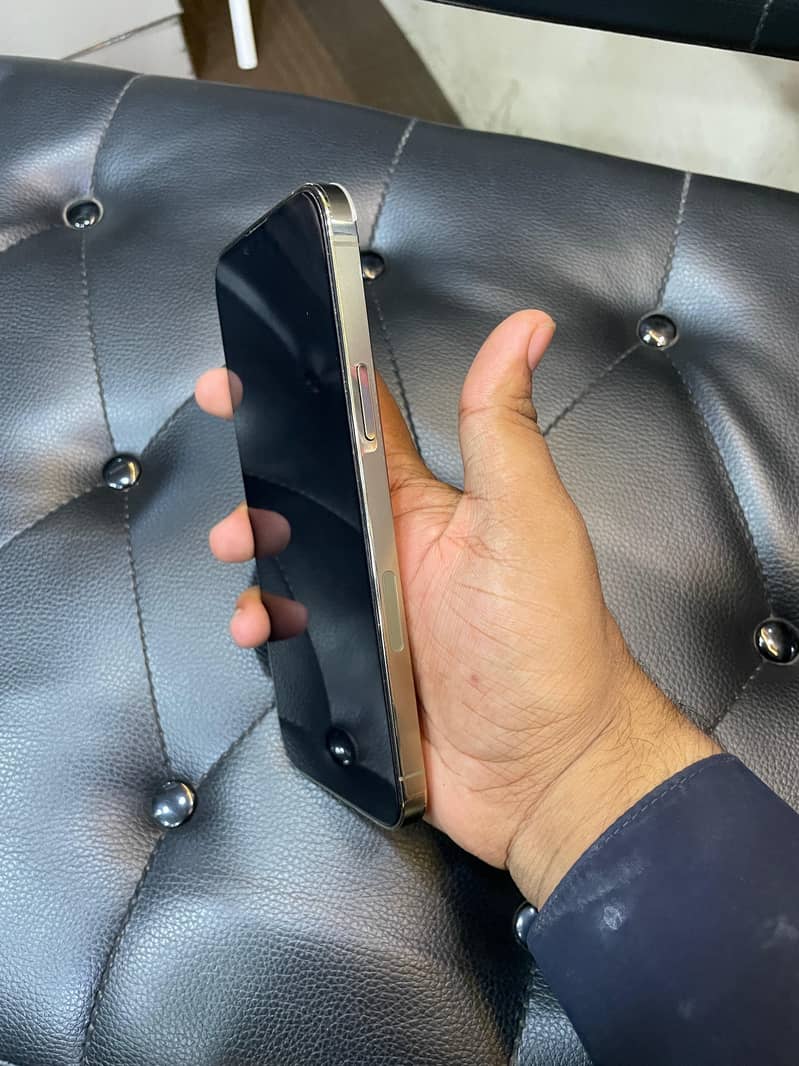 iPhone 13 Pro Max 1