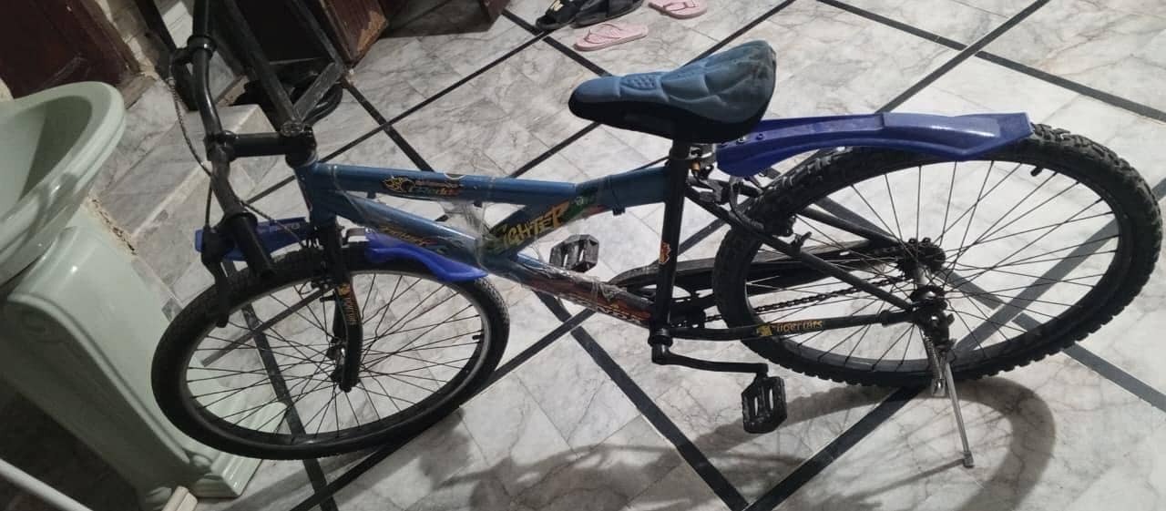 Bicycle 0
