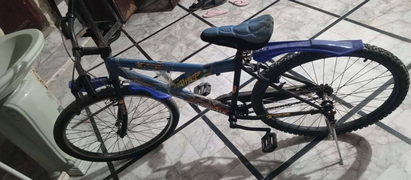 Bicycle 1