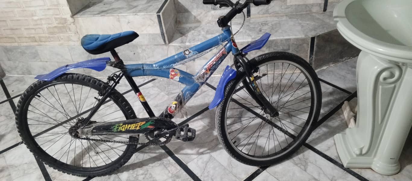 Bicycle 2