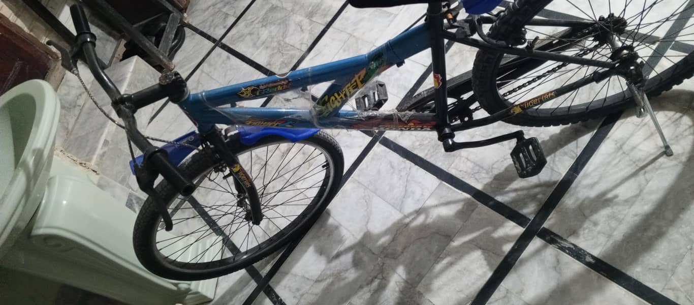 Bicycle 4