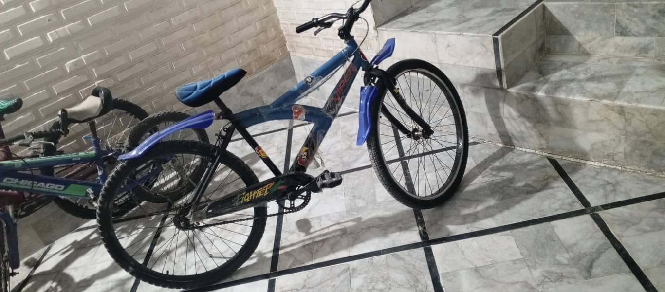 Bicycle 6