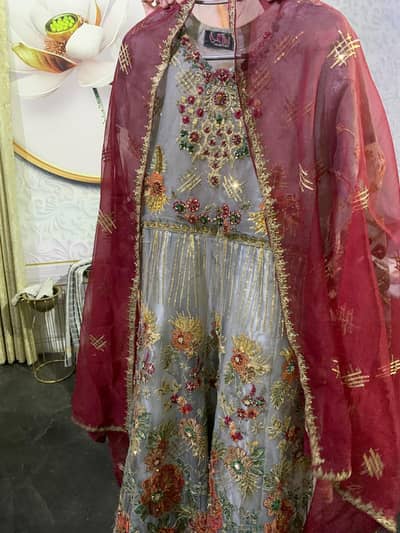 Mexi Women Net and Silk