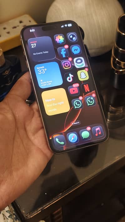 Apple iPhone 16 Pro Max
