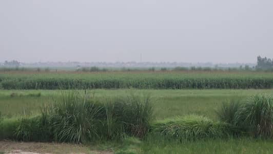 60 Acres Prime Land for Sale Satoki